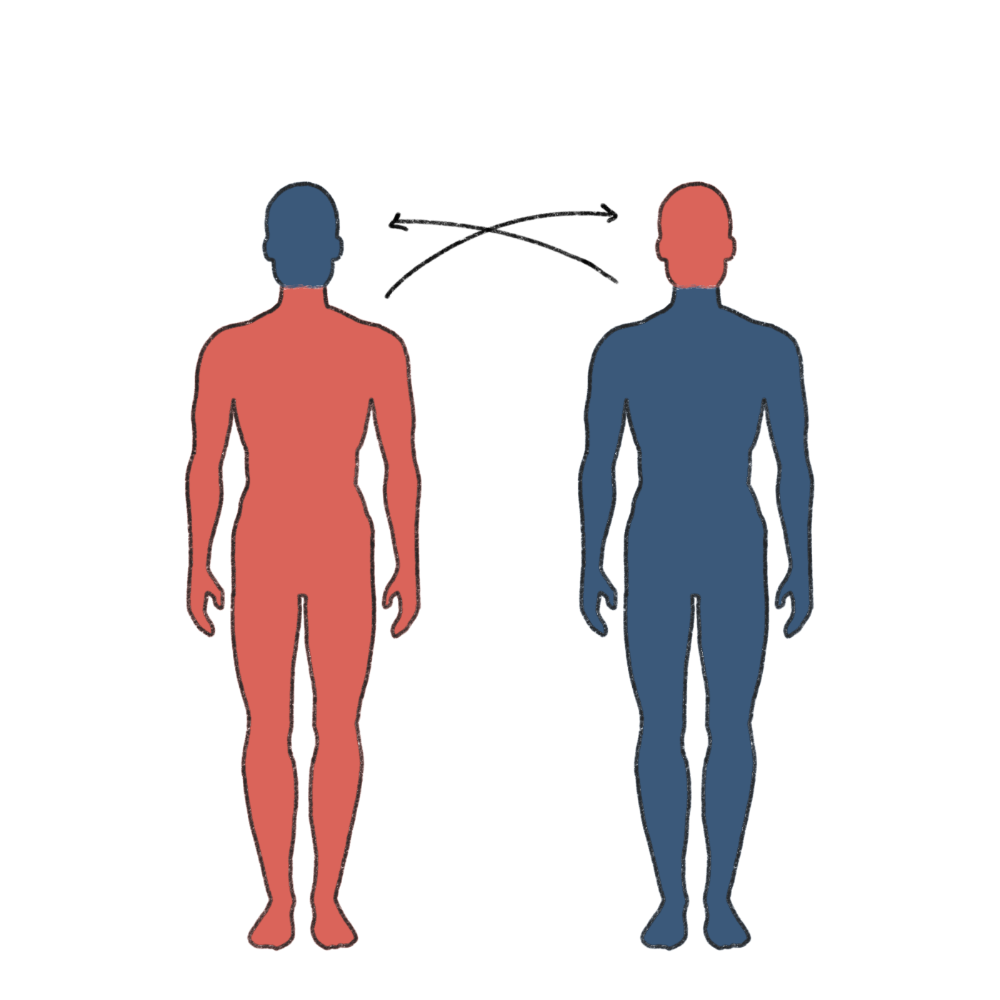 Illustration einer Kopftransplantation beim Menschen