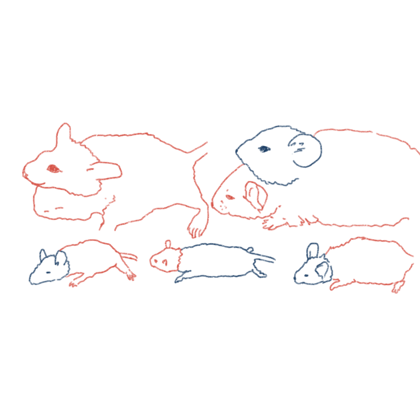 Mäuse mit zwei Köpfen