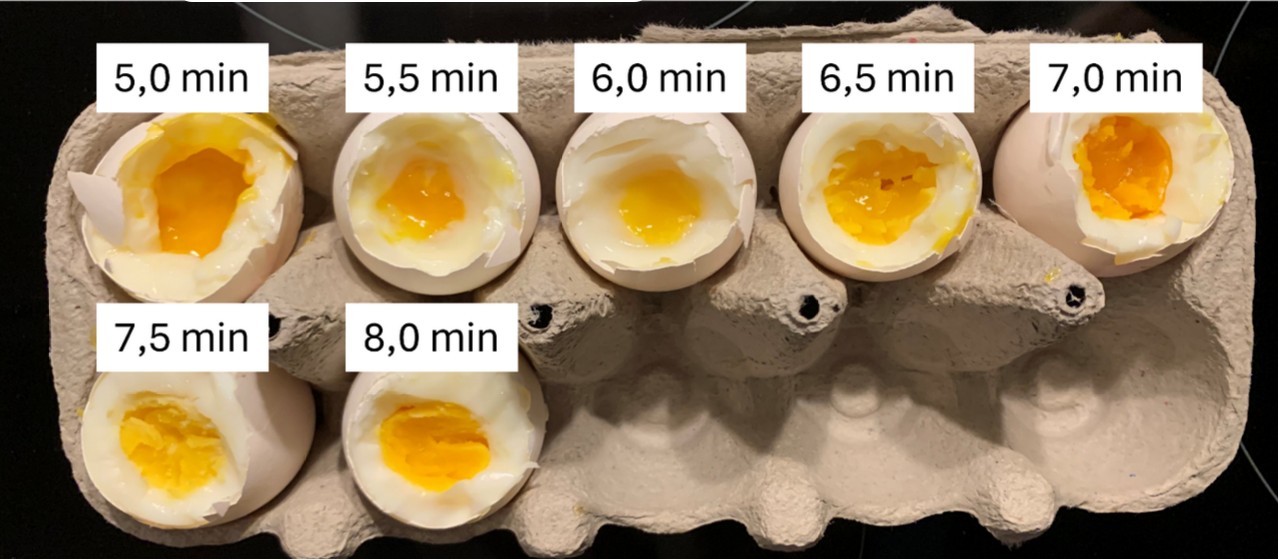 Eier von oben in einem Experiment